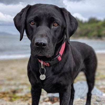 Crumble - CEO, Beinn An Tuirc Distillers