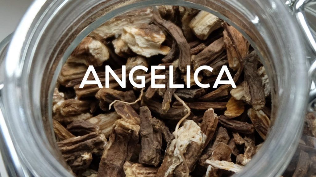 angelica