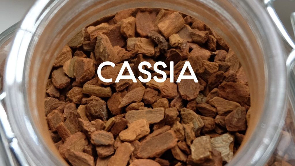 cassia