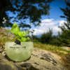 Kintyre Gin Basil Smash cocktail
