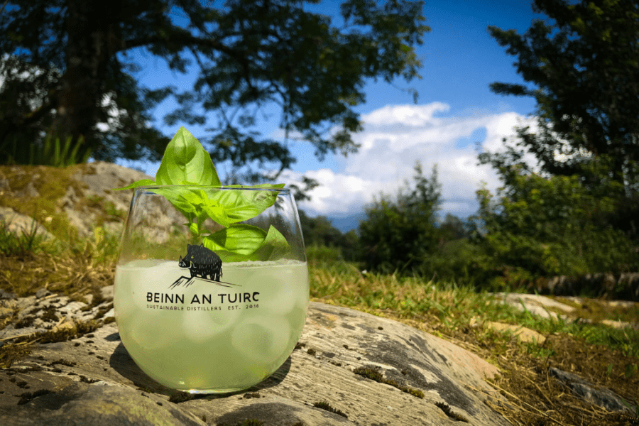 Basil Smash