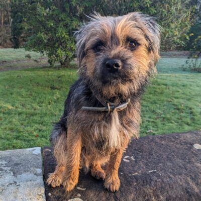 Magnus - Legbiter, Beinn An Tuirc Distillers