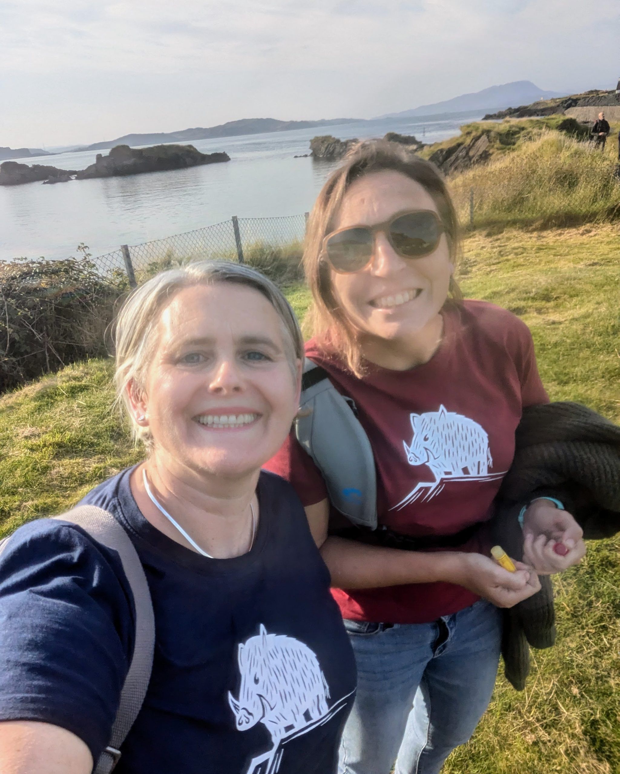 Beinn An Tuirc Boar T-Shirt - Ladies Fit - Image 5