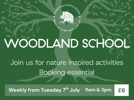Summer Holidays Woodland School